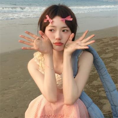 鹬